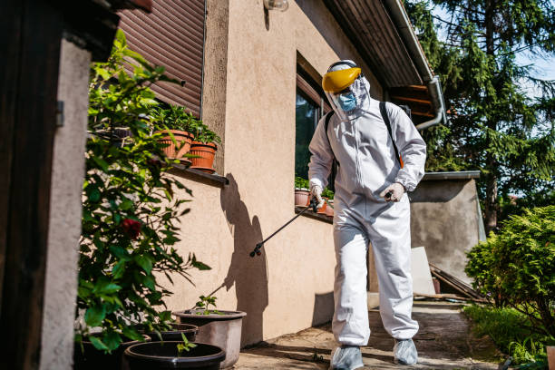 Best Wildlife Control Services  in La Nte, MO