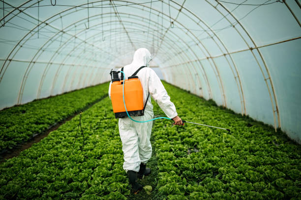 Best Affordable Pest Control Services  in La Nte, MO
