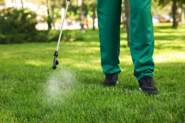 Best Pest Prevention Services  in La Nte, MO