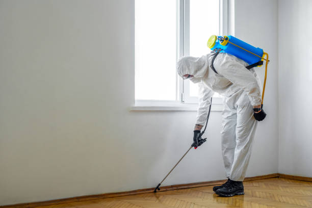 Best Termite Control Services  in La Nte, MO