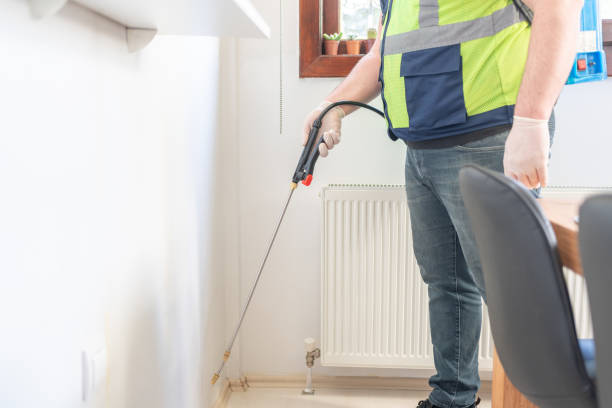 Best Local Pest Control Services  in La Nte, MO